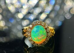 WhatsApp Image 2026-01-07 at 9.23.47 PM